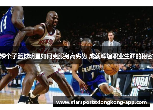 矮个子篮球明星如何克服身高劣势 成就辉煌职业生涯的秘密